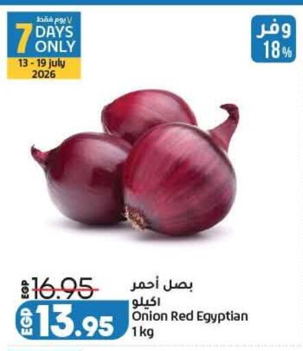 Onion from Egypt available at Lulu Hypermarket  in Egypt - Cairo