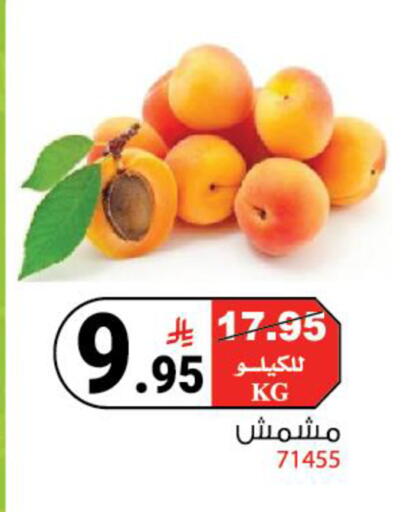 available at House Care in KSA, Saudi Arabia, Saudi - Mecca