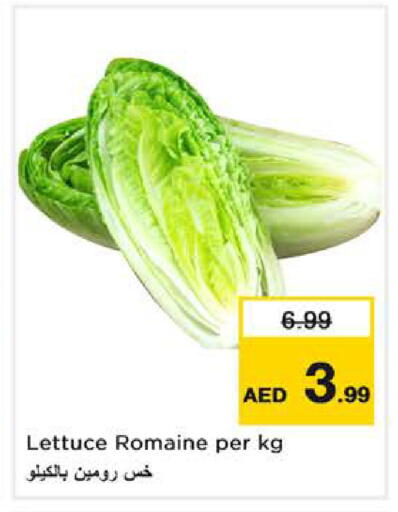 Lettuce available at Nesto Hypermarket in UAE - Sharjah / Ajman