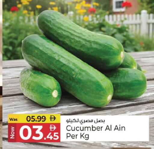 Cucumber available at كنز هايبرماركت in الإمارات العربية المتحدة , الامارات - الشارقة / عجمان
