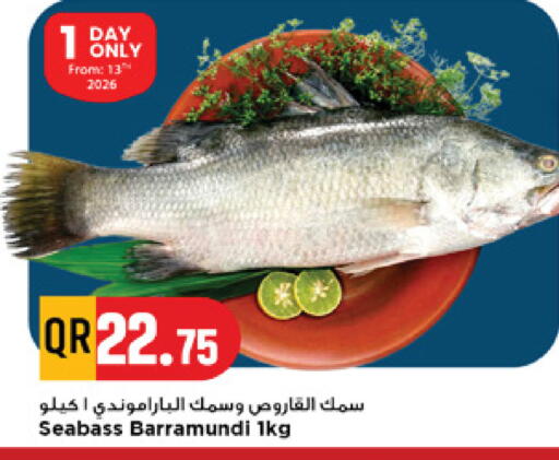 available at مرزا هايبرماركت in قطر - الريان
