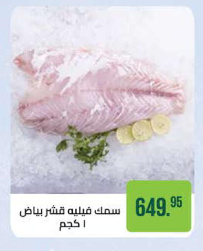 available at سعودي سوبرماركت in Egypt - القاهرة