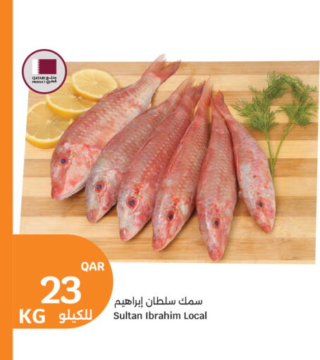 available at City Hypermarket in Qatar - Doha