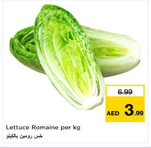 Lettuce available at Nesto Hypermarket in UAE - Sharjah / Ajman