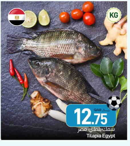 available at ســبــار in قطر - الدوحة