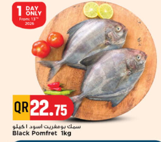 available at مرزا هايبرماركت in قطر - الريان