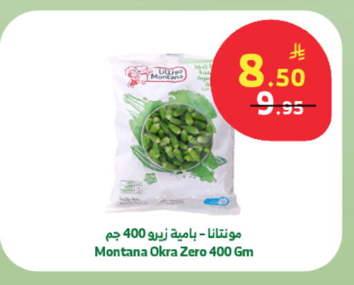 Okra available at الراية in مملكة العربية السعودية, السعودية, سعودية - تبوك