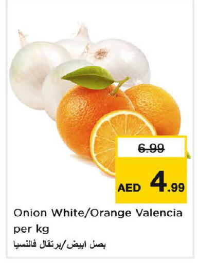 Orange Onion available at نستو هايبرماركت in الإمارات العربية المتحدة , الامارات - دبي