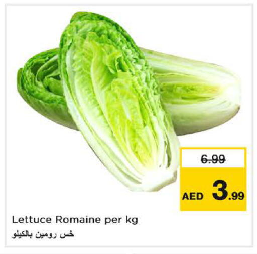 Lettuce available at Nesto Hypermarket in UAE - Sharjah / Ajman