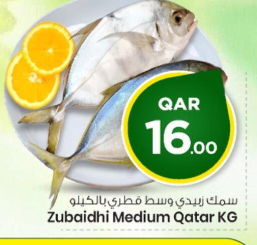 available at مارك & سيف in قطر - الشحانية