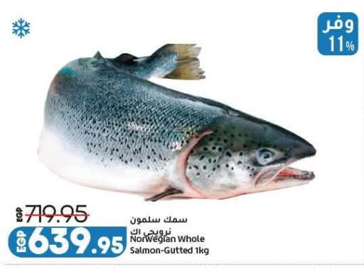 available at لولو هايبرماركت in Egypt - القاهرة