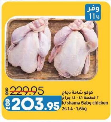 available at لولو هايبرماركت in Egypt - القاهرة