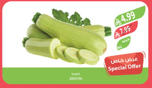 Zucchini available at المزرعة in مملكة العربية السعودية, السعودية, سعودية - جدة
