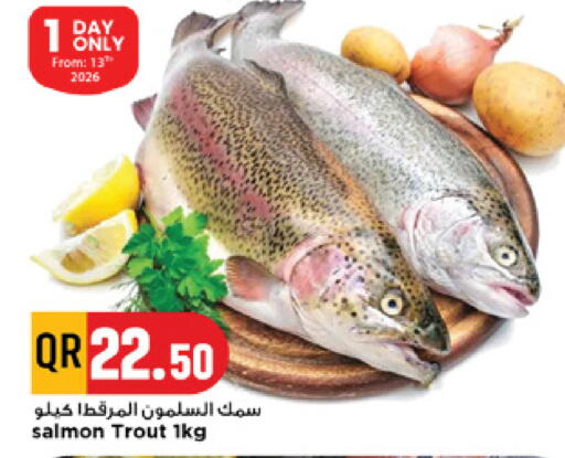 available at مرزا هايبرماركت in قطر - الريان