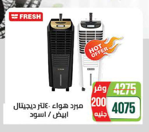 available at سعودي سوبرماركت in Egypt - القاهرة