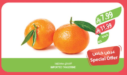 available at المزرعة in مملكة العربية السعودية, السعودية, سعودية - جدة
