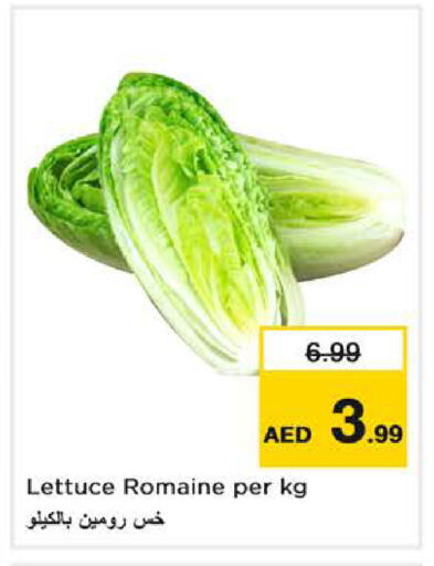 Lettuce available at Nesto Hypermarket in UAE - Sharjah / Ajman