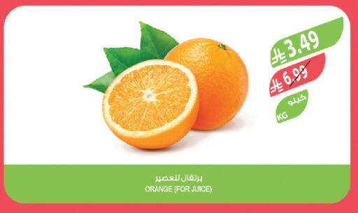 Orange available at المزرعة in مملكة العربية السعودية, السعودية, سعودية - جدة