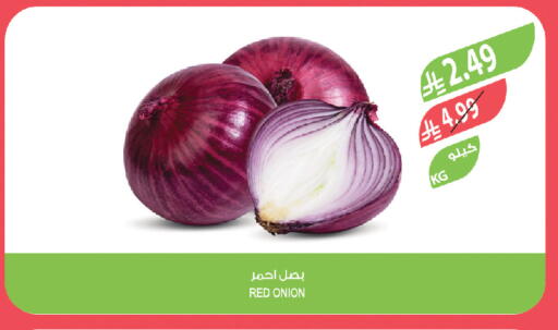 Onion available at المزرعة in مملكة العربية السعودية, السعودية, سعودية - جدة