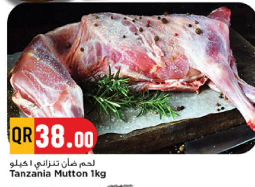 available at مرزا هايبرماركت in قطر - الريان
