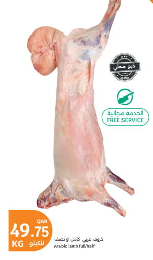 available at سيتي هايبرماركت in قطر - الشحانية