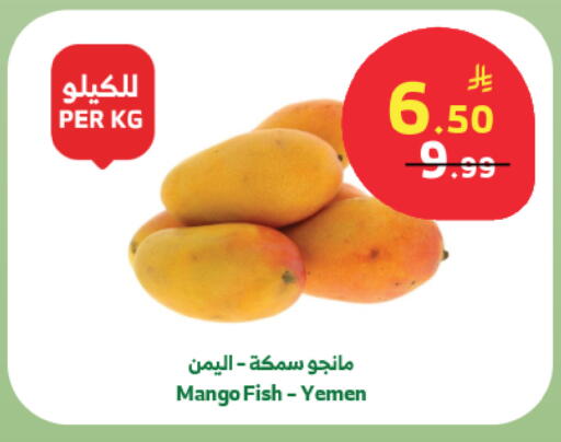 Mango from Yemen available at Al Raya in KSA, Saudi Arabia, Saudi - Jeddah