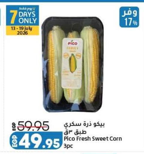 available at Lulu Hypermarket  in Egypt - Cairo