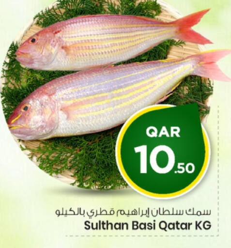 available at مارك & سيف in قطر - الشحانية