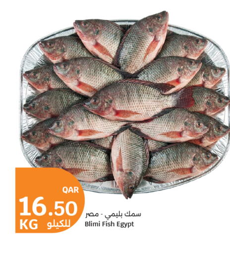 available at City Hypermarket in Qatar - Doha