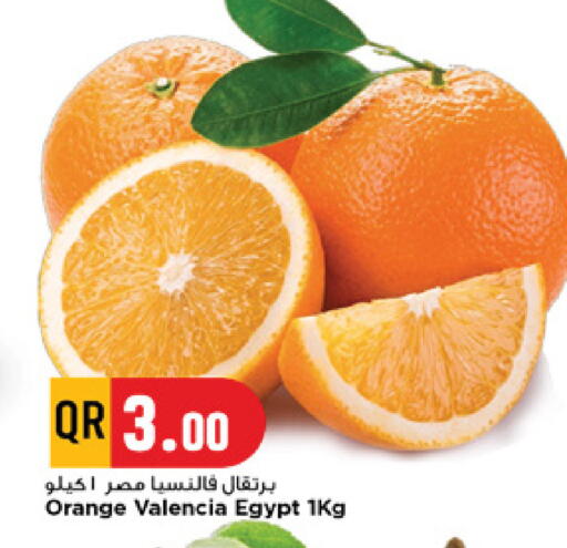 Orange from Egypt available at مرزا هايبرماركت in قطر - الريان