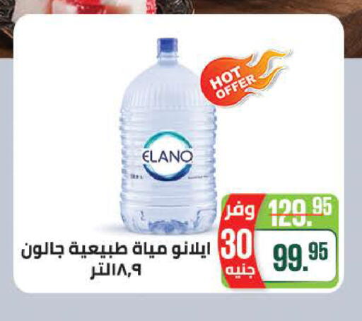 available at سعودي سوبرماركت in Egypt - القاهرة