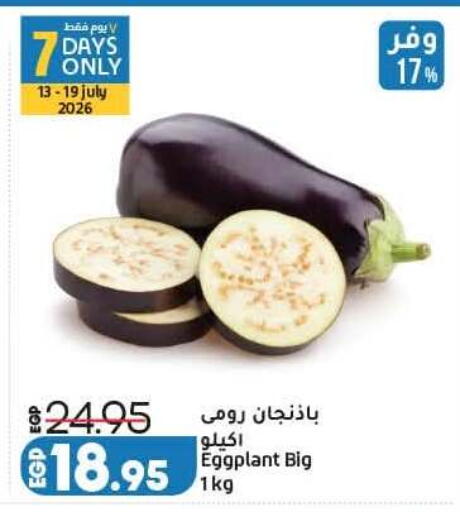 Eggplant available at لولو هايبرماركت in Egypt - القاهرة