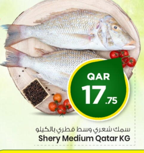 available at مارك & سيف in قطر - الشحانية
