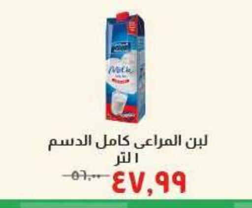 available at Kheir Zaman  in Egypt - Cairo