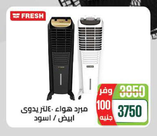 available at Seoudi Supermarket in Egypt - Cairo