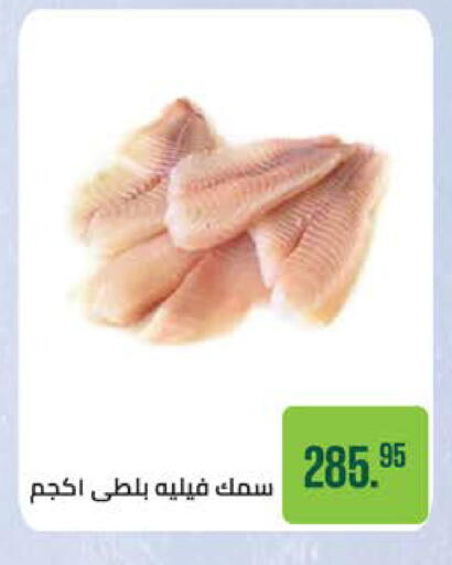 available at Seoudi Supermarket in Egypt - Cairo