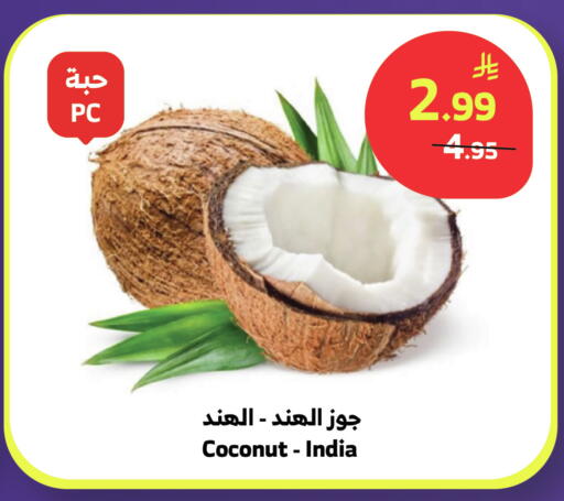 Coconut from India available at الراية in مملكة العربية السعودية, السعودية, سعودية - تبوك