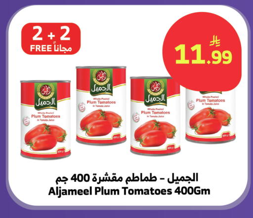 Plum Tomato available at الراية in مملكة العربية السعودية, السعودية, سعودية - تبوك
