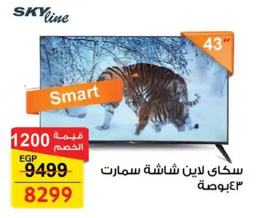 available at Fathalla Market  in Egypt - Cairo