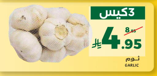 Garlic available at ميرا مارت مول in مملكة العربية السعودية, السعودية, سعودية - جدة