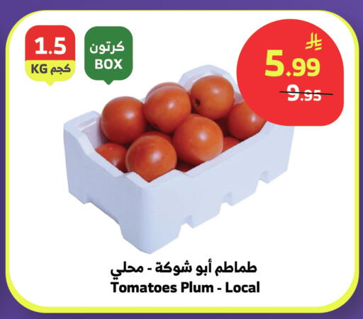 Plum Tomato available at Al Raya in KSA, Saudi Arabia, Saudi - Tabuk