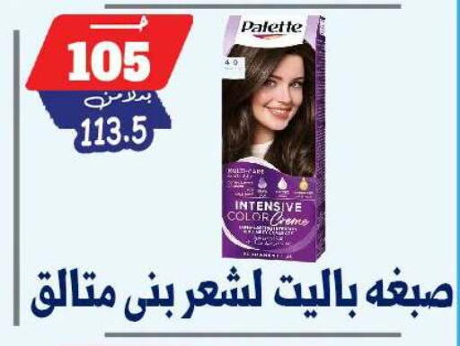 available at بندق ماركت in Egypt - القاهرة