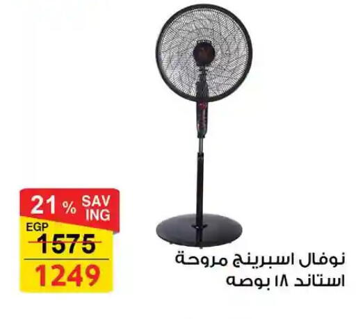 available at فتح الله in Egypt - القاهرة