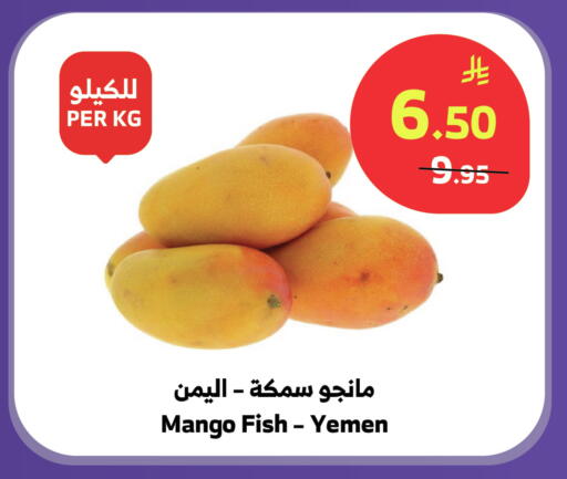 Mango from Yemen available at الراية in مملكة العربية السعودية, السعودية, سعودية - تبوك