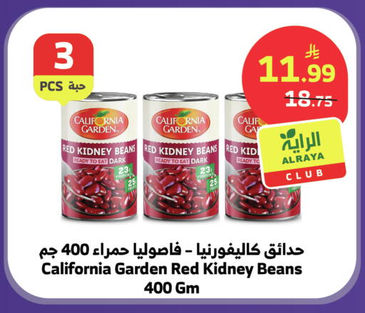available at الراية in مملكة العربية السعودية, السعودية, سعودية - تبوك