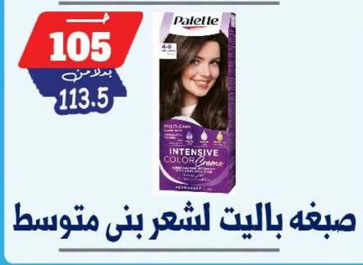 available at بندق ماركت in Egypt - القاهرة