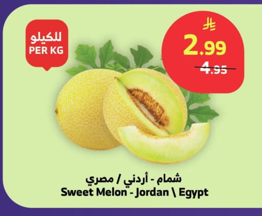 Melon from Jordan Egypt available at الراية in مملكة العربية السعودية, السعودية, سعودية - تبوك