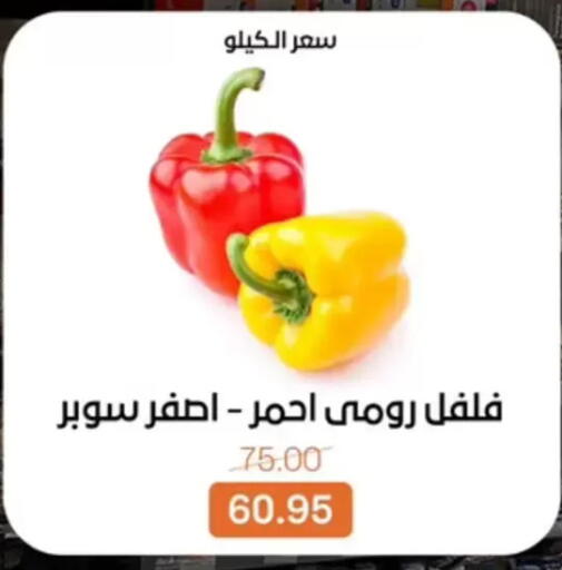 available at بيت الجملة in Egypt - القاهرة