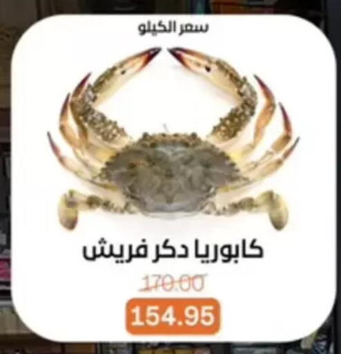 available at بيت الجملة in Egypt - القاهرة