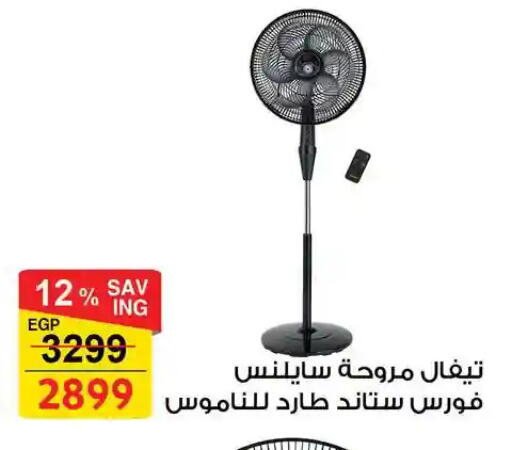 available at فتح الله in Egypt - القاهرة